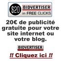 pub gratuite pour webmaster